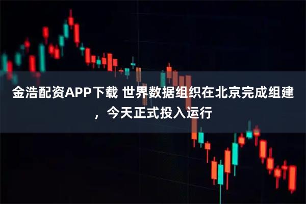 金浩配资APP下载 世界数据组织在北京完成组建，今天正式投入运行