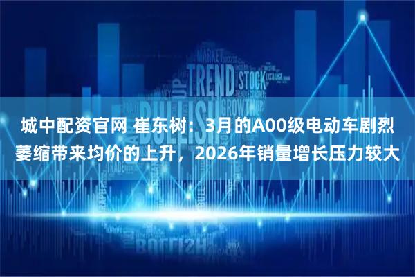 城中配资官网 崔东树：3月的A00级电动车剧烈萎缩带来均价的上升，2026年销量增长压力较大